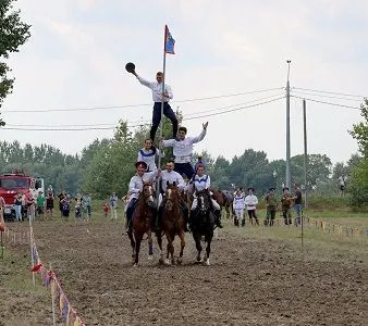 Конноспортивный праздник, посвященный 266-й годовщине со дня рождения атамана Платова, прошел в Ростовской области