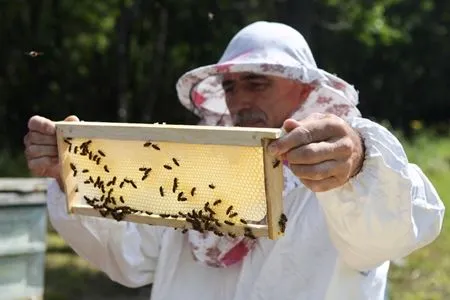 Более 1,5 тыс. гостей посетили фестиваль меда в Приморье