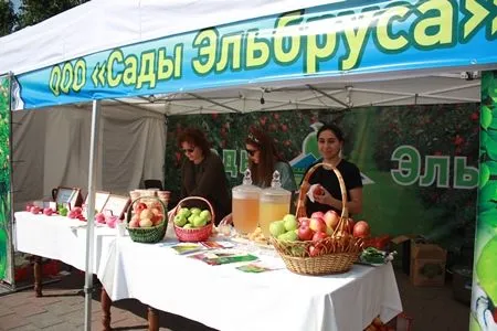 Гигантское панно из яблок выложили на гастрономическом фестивале в Нальчике